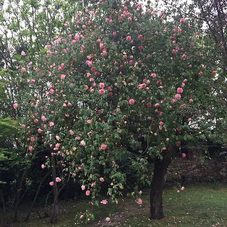 Сasa de vacaciones La Tuilerie Vic-Fezensac