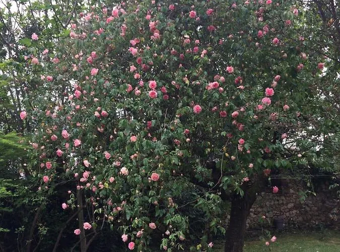 Dom wakacyjny La Tuilerie Vic-Fezensac