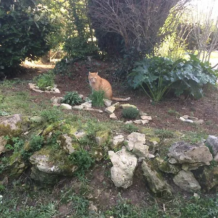 La Tuilerie Tatil Evi *