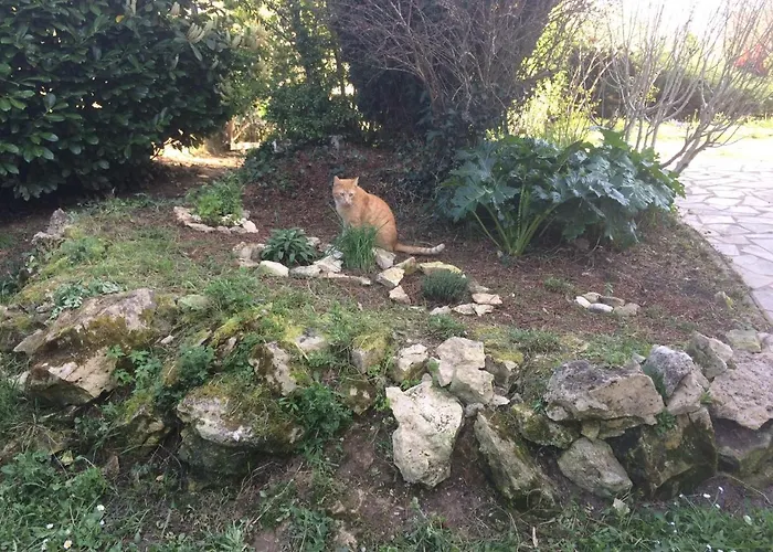 La Tuilerie Tatil Evi *